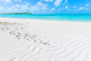 Chaises longues, serviettes de plage