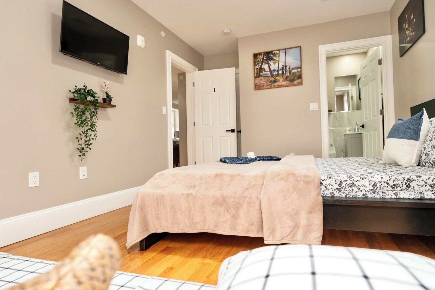 Un dormitorio con una cama, televisión, una puerta y una planta.