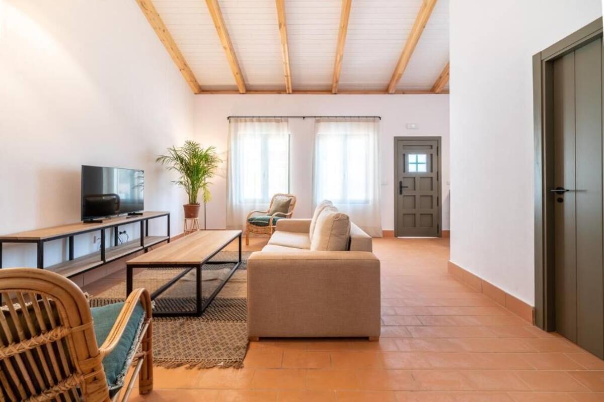 Un salon avec un canapé, une table basse, un téléviseur posé sur un meuble, une plante en pot et une porte à l’arrière-plan.