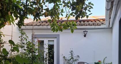 Casa Laranjeira in the historic city