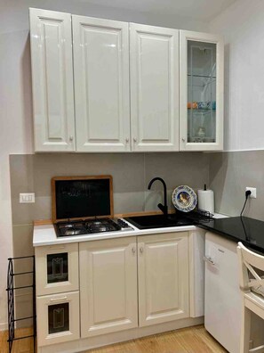 Fridge, stovetop, cookware/dishes/utensils, spices