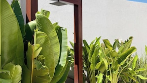 Una estructura de pérgola de madera con exuberantes plantas de plátano y un muro blanco al fondo.