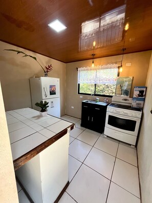 Oven, cookware/dishes/utensils, spices, dining tables