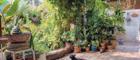 Enceinte de l’hébergement