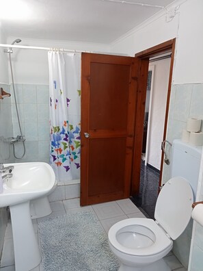 Een douche, een haardroger, een bidet, handdoeken