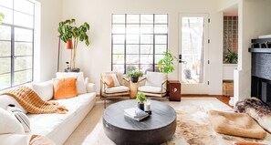 Smart TV, fireplace, video games, books