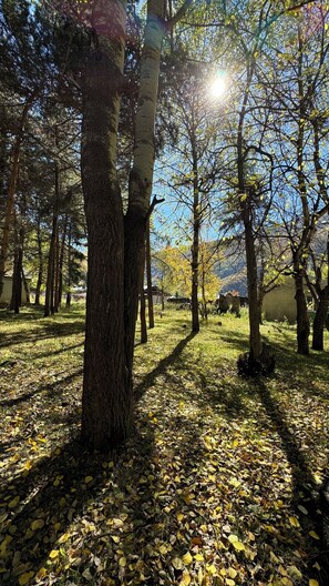 Ulkoalueet
