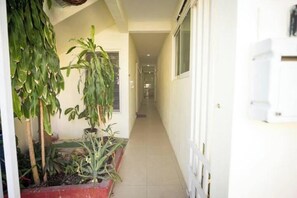 Property grounds - Complete and affordable house in Cancun: Casa Rosada. (Cancún)