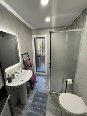 Shower, hair dryer, bidet, towels