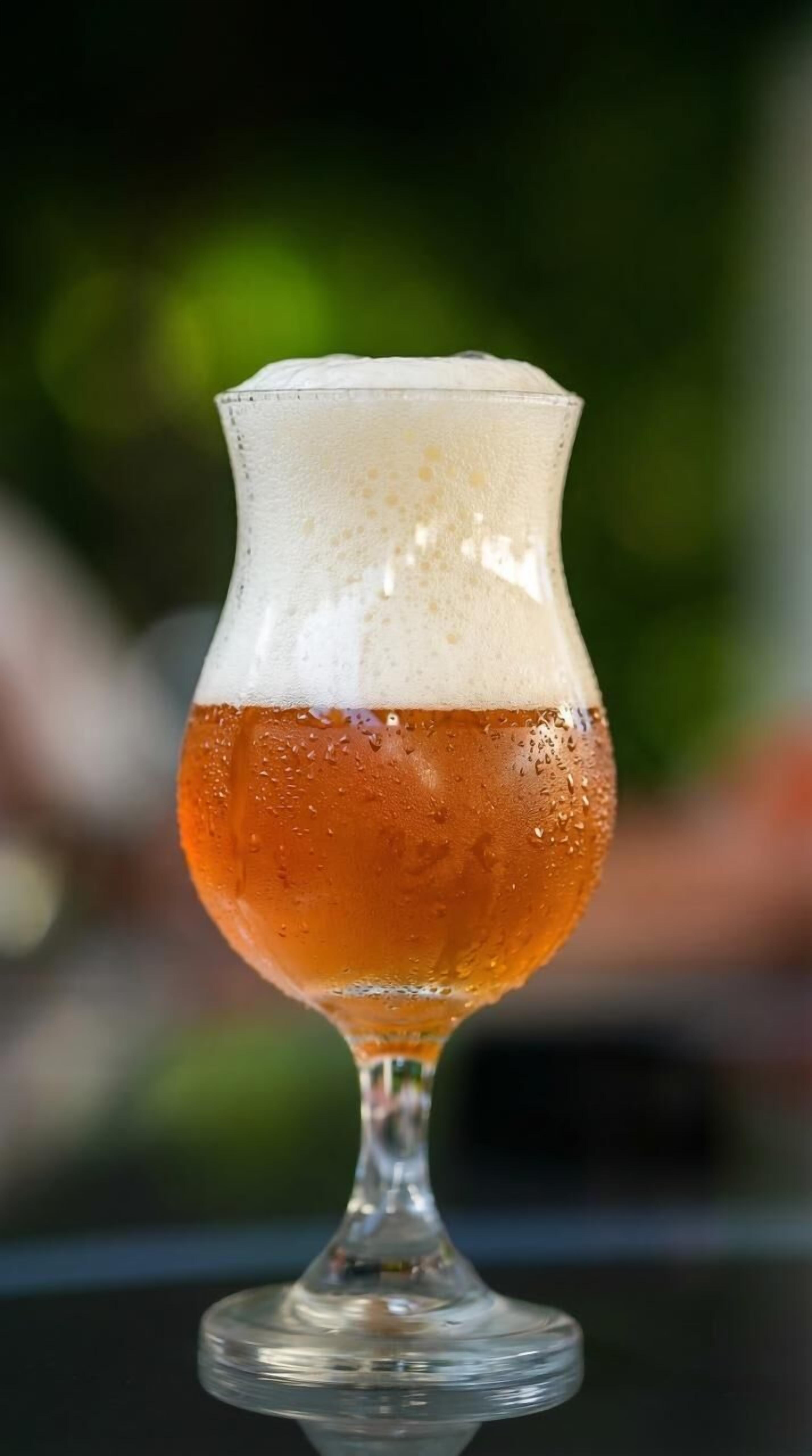 A glass of beer with a foamy head, placed on a table.