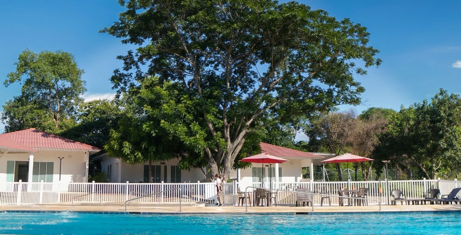 A swimming pool with a white fence, lounge chairs, and umbrellas.