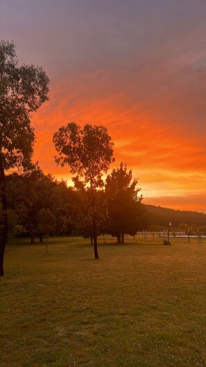 إطلالة على الحديقة