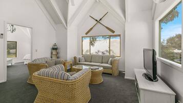 TV, fireplace, books