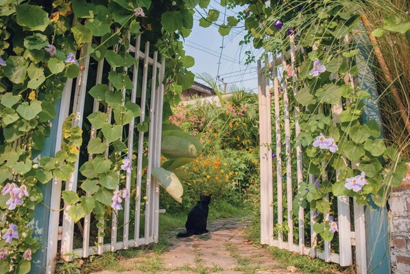 A black cat sitting on a stone pathway between white wooden gates.