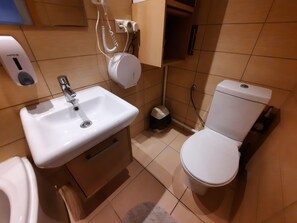 Secador de pelo y papel higiénico