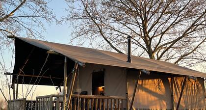 Luxury 4-person safari tent on Landgoed de Leijen
