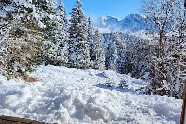 Vista desde la propiedad
