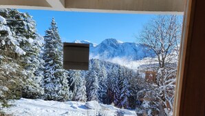 Terraza de madera con vistas a árboles y montañas nevadas.