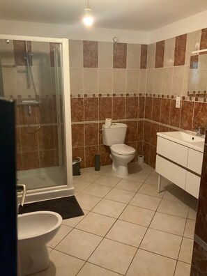 Hair dryer, bidet, towels, soap