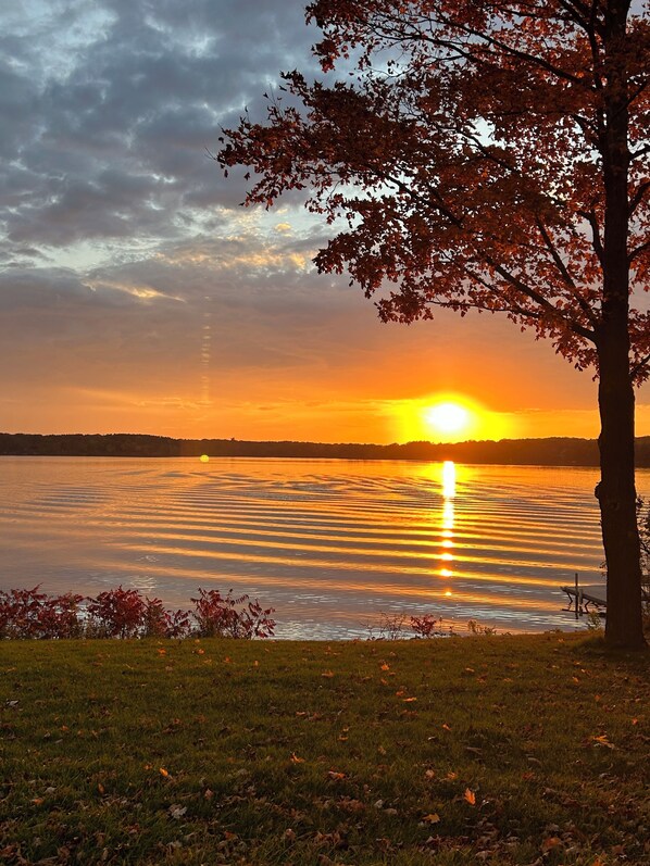Un atardecer sobre un lago tranquilo con un árbol en primer plano.