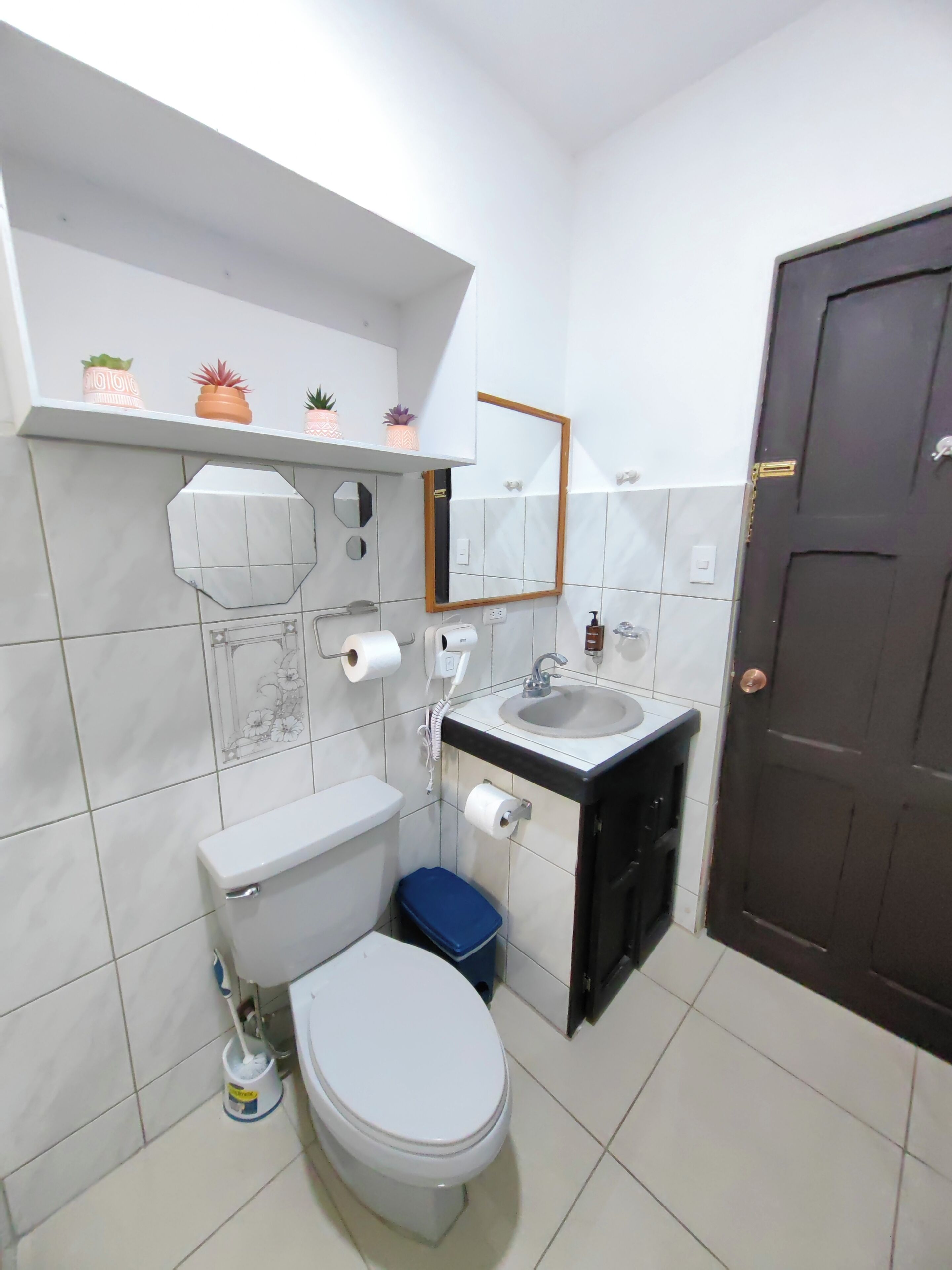 A small bathroom with a toilet, sink, and mirror. There are potted plants on a shelf above the toilet.