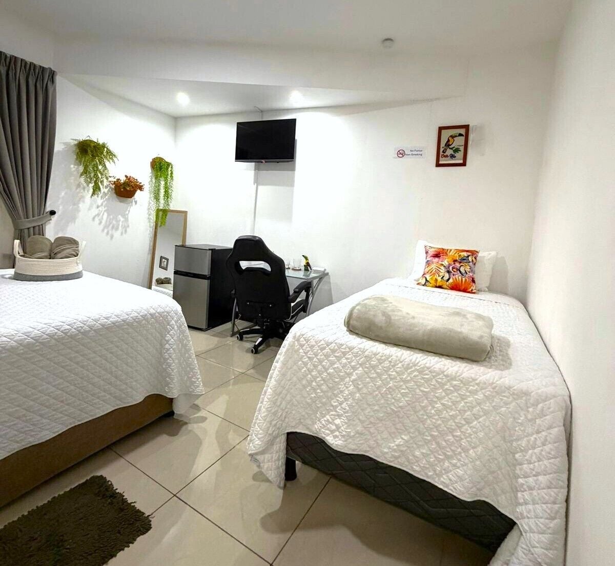 Ein Hotelzimmer mit zwei Betten, einem Schreibtisch, einem Sessel, einem Fernseher und einer Pflanze.