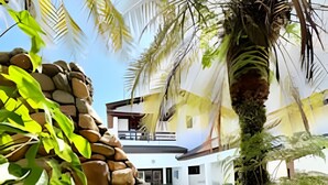 Un área de piscina con pared de piedra y plantas tropicales.
