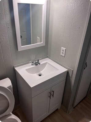 Hair dryer, towels, soap, toilet paper - Superb 3-bedroom house with AC in Monroe (Monroe)