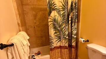 Shower, hair dryer, soap