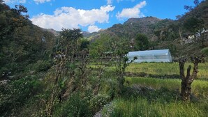 Paisaje rural con una estructura invernadero en medio de exuberante vegetación y colinas.
