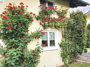 Una casa con fachada amarilla, una ventana blanca y rosas rojas trepando por las paredes.