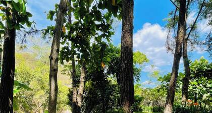 Modern Stylish Apt in Secure Area in San Salvador