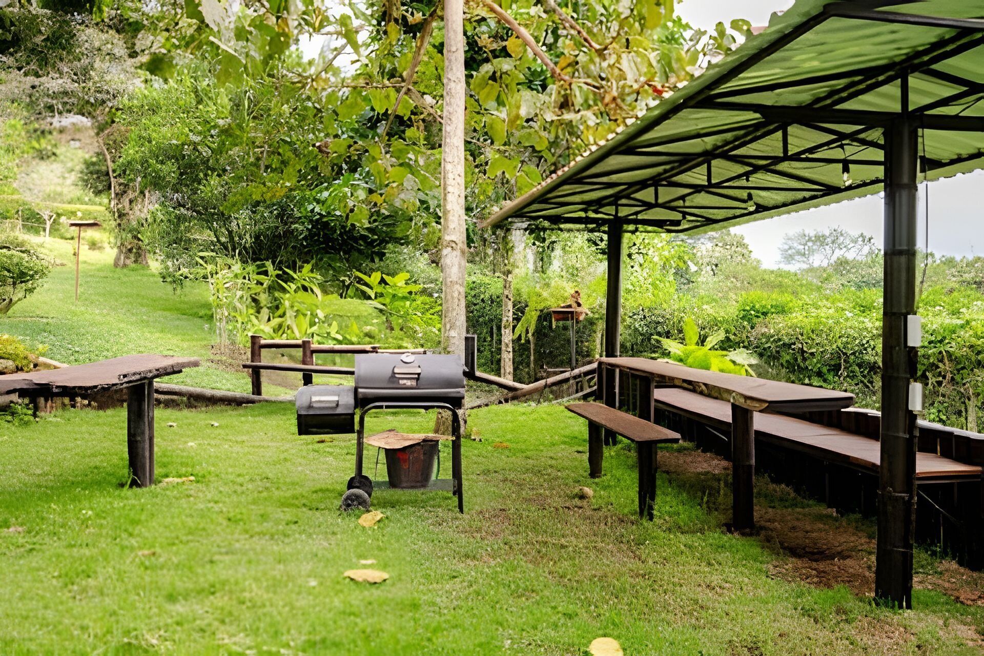 An outdoor patio with picnic tables, a barbecue grill, and a covered seating area.