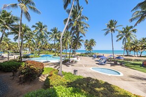Un complexe hôtelier doté d’une piscine, de palmiers et offrant une vue sur la plage.