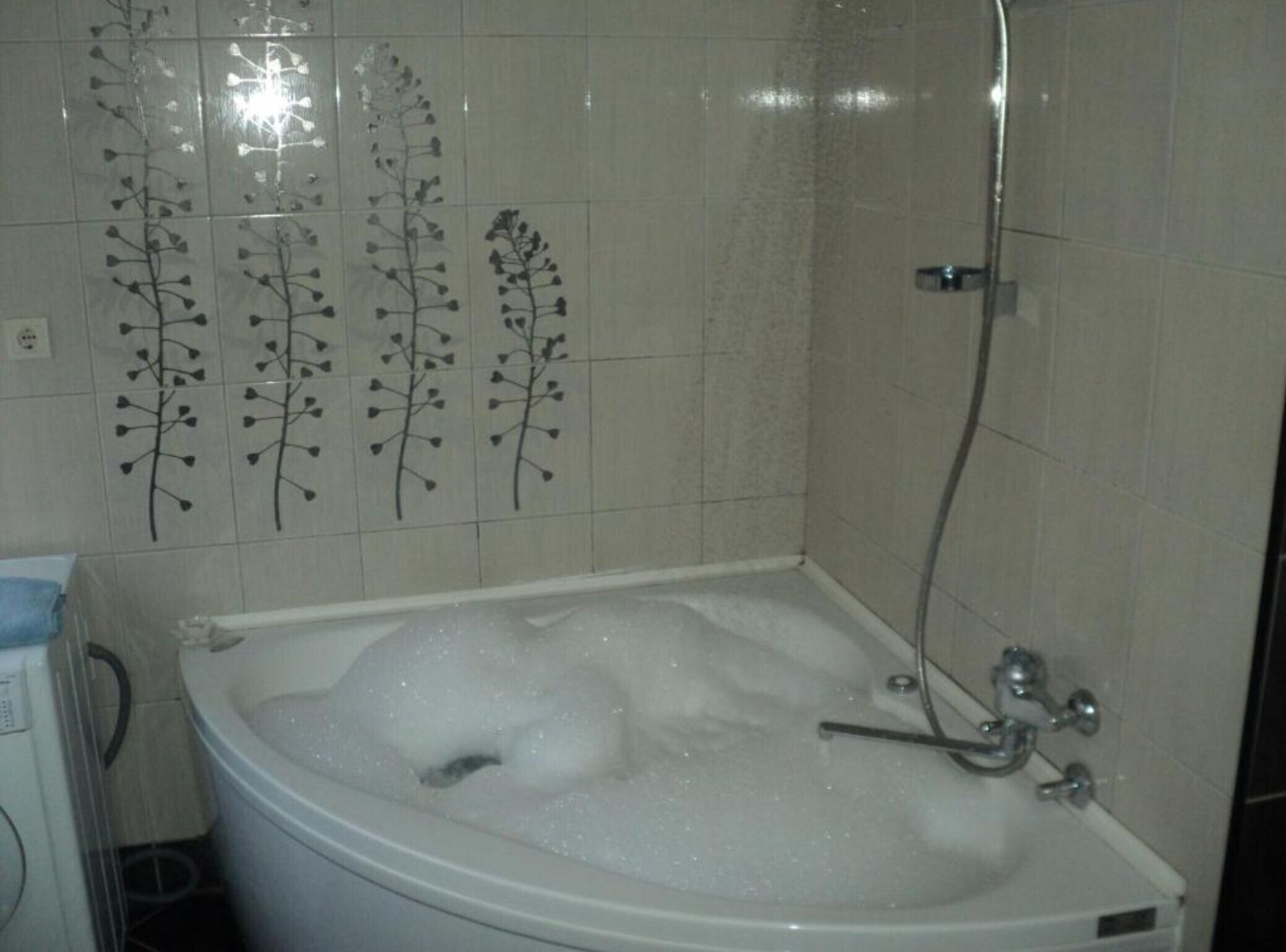 Ein Badezimmer mit einer mit Blasen gefüllten Badewanne, einer Duschbrause und dekorativen Wandfliesen.