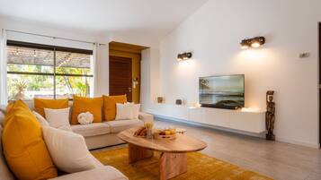 Télévision, cheminée, chaßne hi-fi