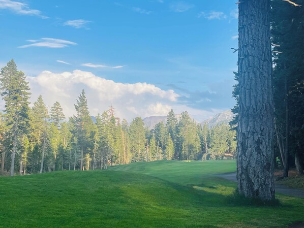 Golf