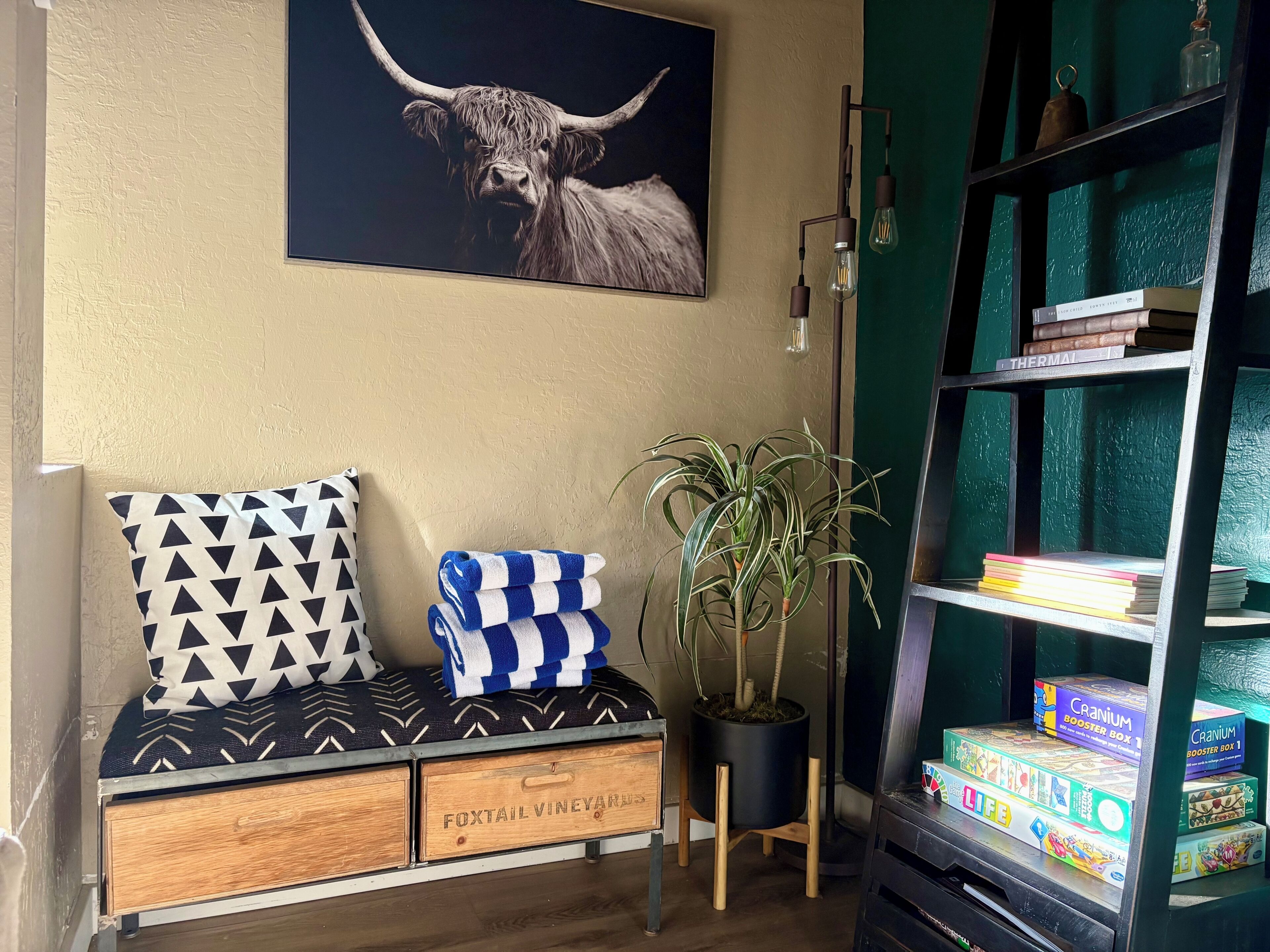 Une pièce chaleureuse avec un canapé, des coussins, une plante en pot et une bibliothèque remplie de livres et de jeux.