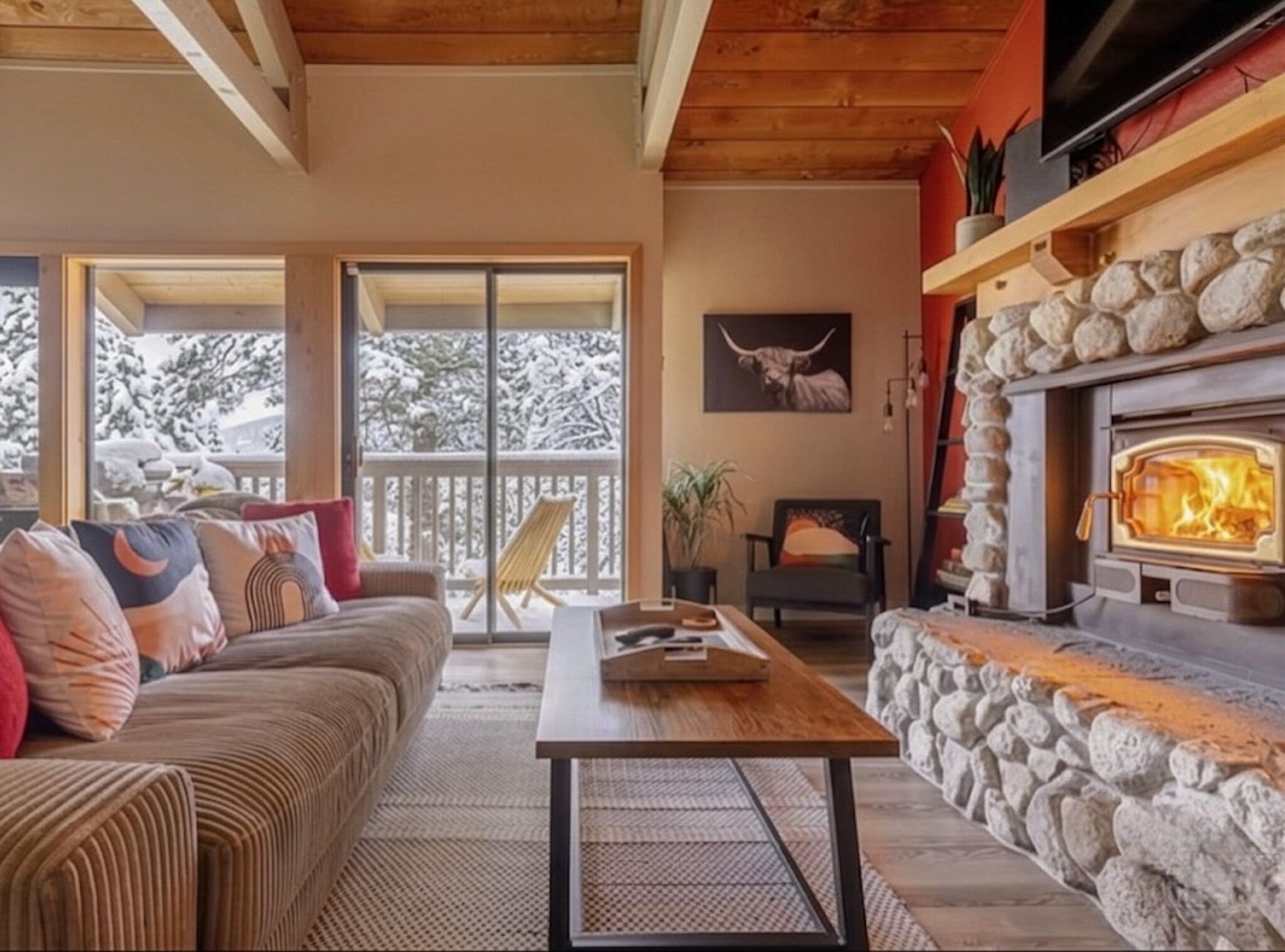 Smart TV, fireplace, books