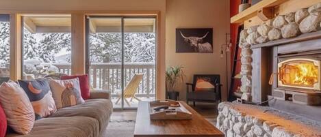 Smart TV, fireplace, books