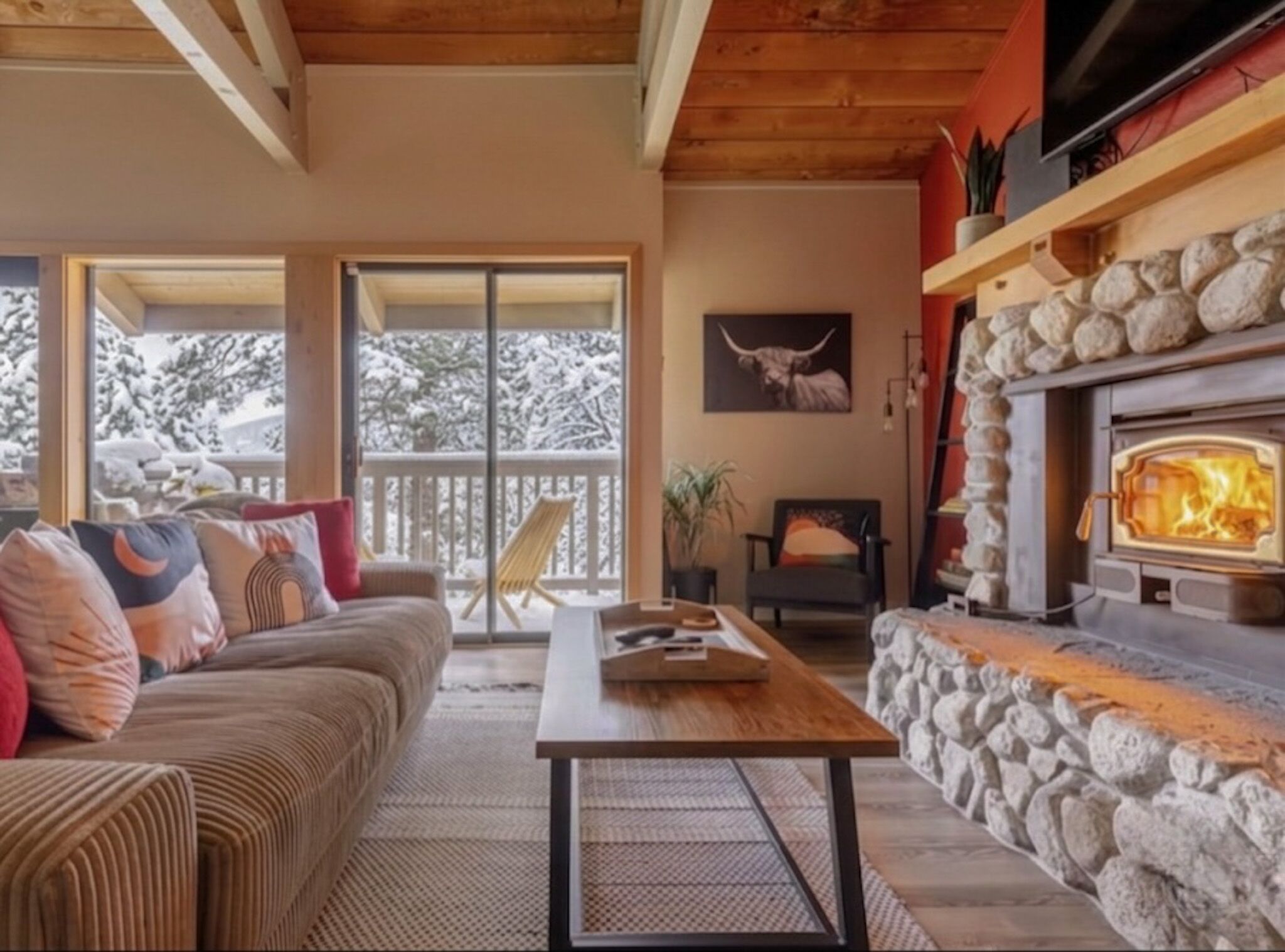 Älytelevisio, takka, kirjoja