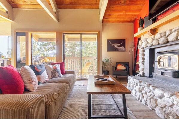 Smart TV, fireplace, books