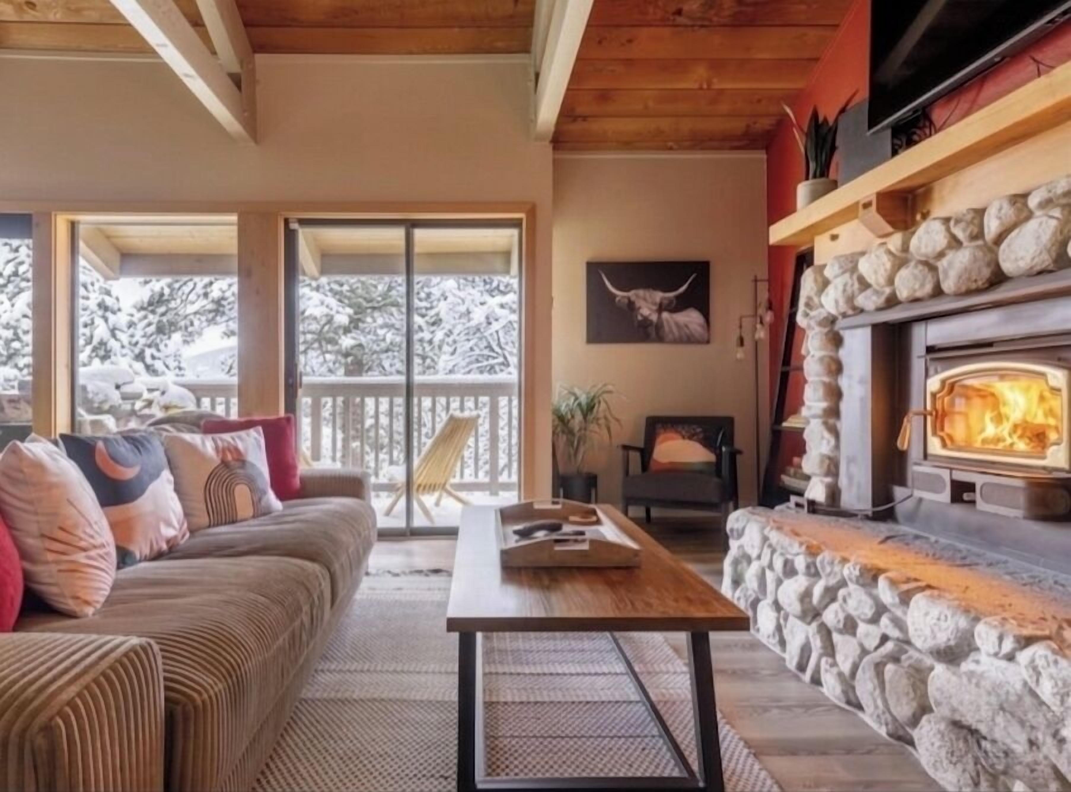 Smart TV, fireplace, books