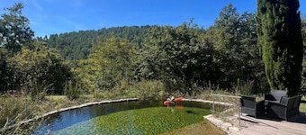 Garidelle