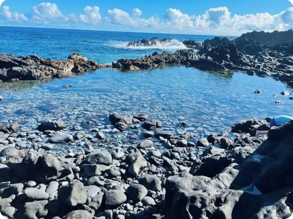 Serviettes de plage