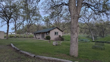 Esterni