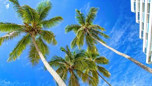 A view of tall palm trees against a clear blue sky, with a modern building in the background. - Enjoy the Wonderful Ocean & Pool View from This 2BDR Apartment in Juan Dolio (Guayacanes)
