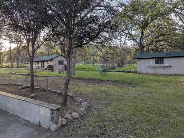 A residential area with a house, a small garden, and a picnic table.