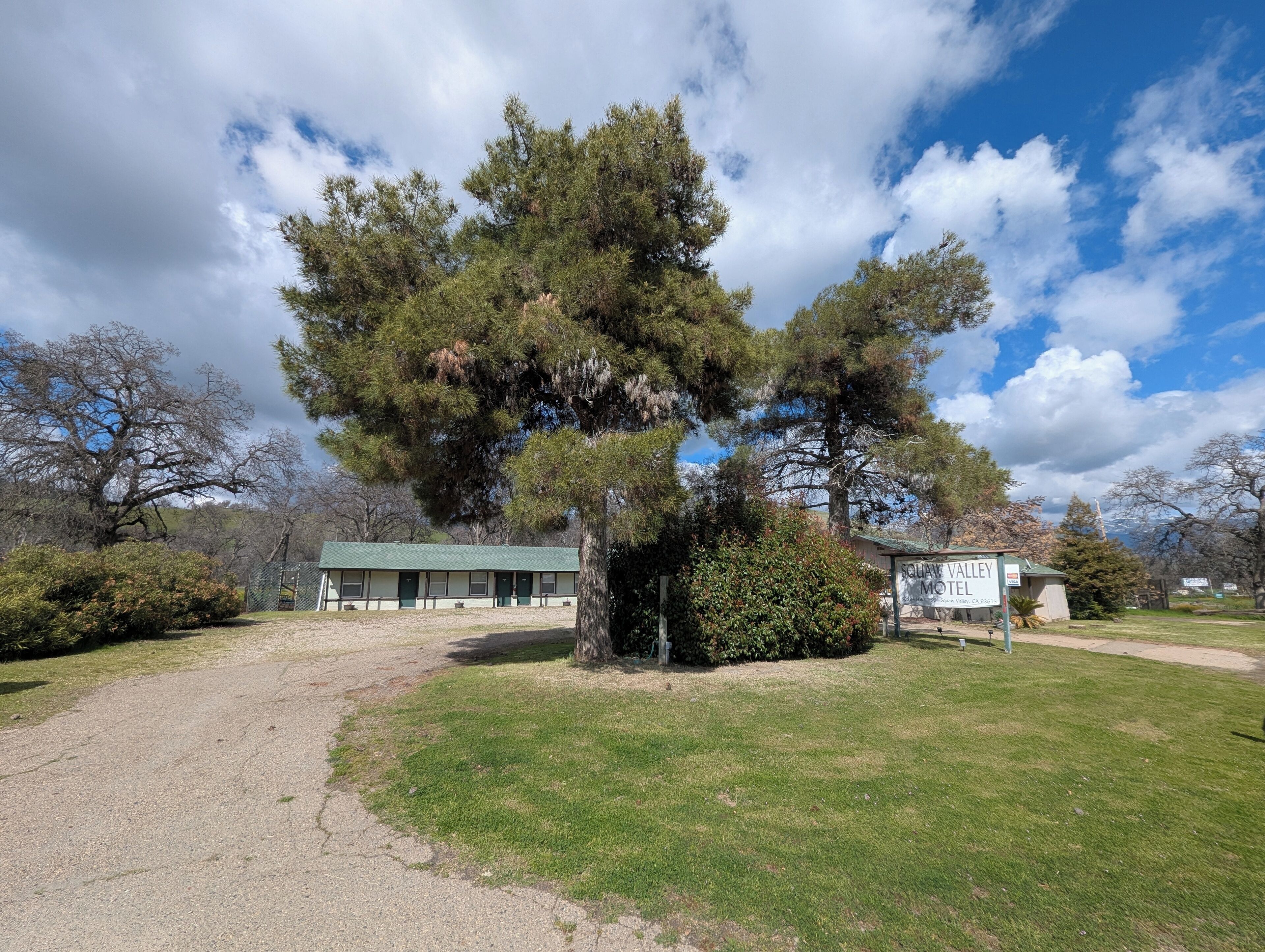 Un motel avec un bâtiment surmonté d’un toit végétalisé, un grand arbre devant et une enseigne indiquant son nom et son emplacement.