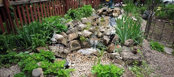 Sunny upstairs 1-bedroom apartment with AC, WiFi in charming Minneapolis